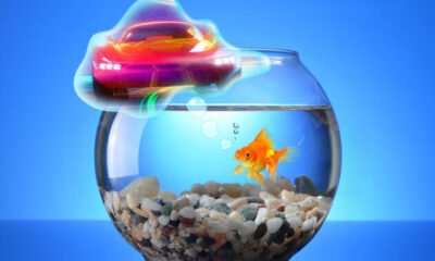 Scientists put together goldfish to power a fish-operated automobile on land