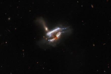 Hubble captures account witness of three galaxies merging into one