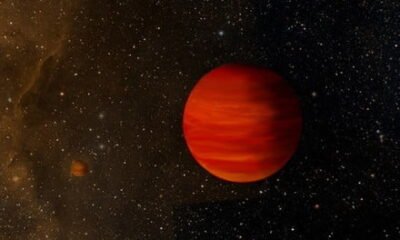 Pair of brown dwarfs orbit each hundreds of 12 billion miles apart