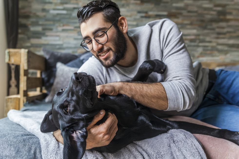 The 8 Easiest Pets For Your Psychological Health, In step with a Psychiatrist
