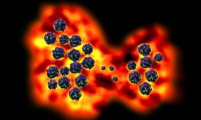 COVID-19 Conditions Remain Low, Belly Flu Outbreaks Upward thrust