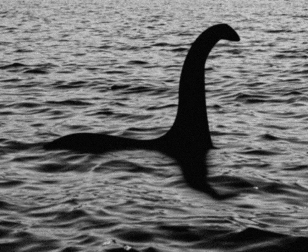 This Professor Thinks the Loch Ness Monster Would possibly maybe maybe’ve In actual fact Been a Whale’s Penis