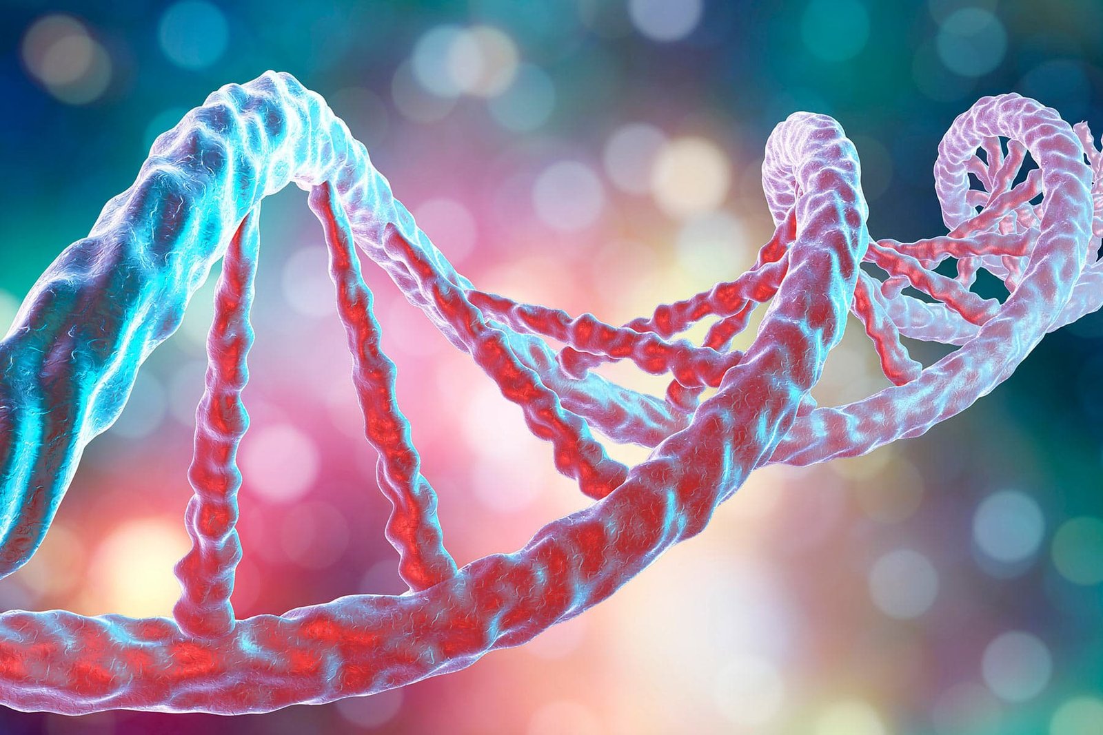 Genes vs. Daily life: Which Issues Extra for Health?