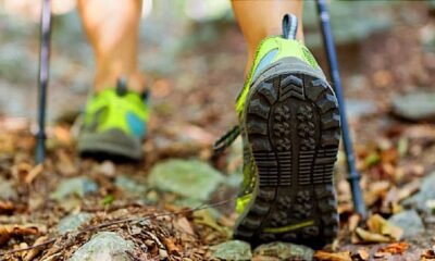 Nordic Walking Beats Varied Workout routines for Heart Health: Explore