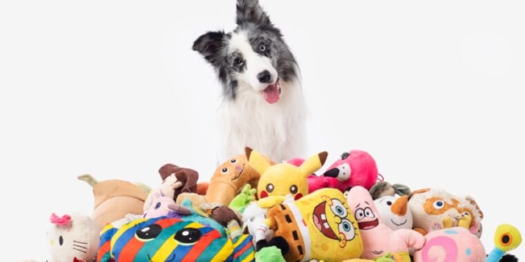 Glimpse sheds light on how dogs seek their licensed toys