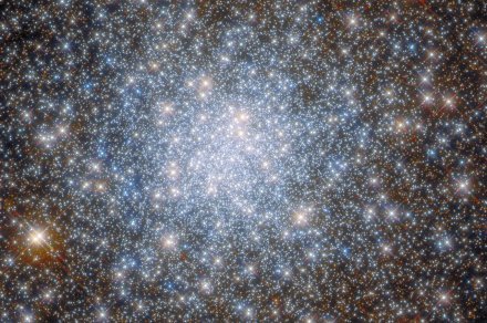 Thousands of stars sparkle in this week’s Hubble image