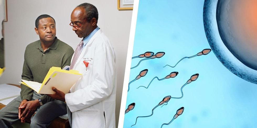 Why Some Guys’ Sperm Quality is at Excessive Likelihood Just appropriate Now