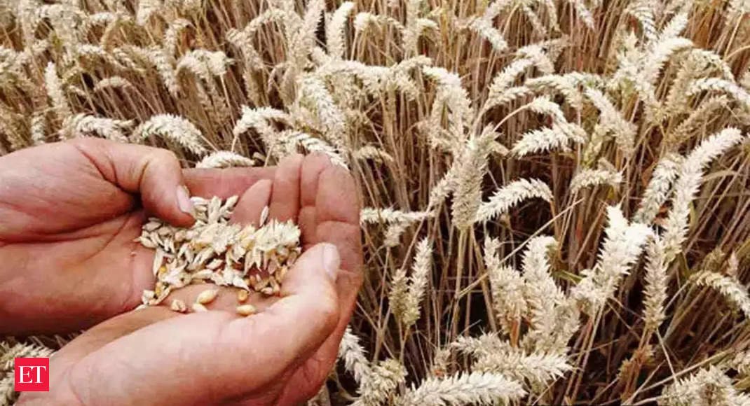 Will guarantee wheat present, rein in hoarders: Govt