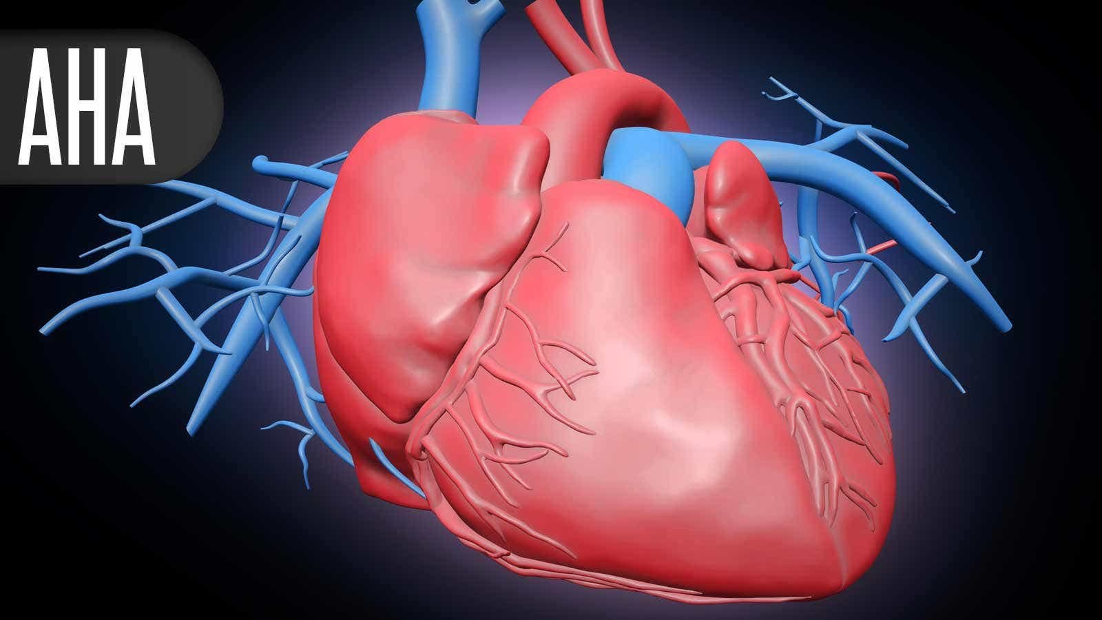 Definitive Solution on Steroids for Toddler Heart Surgical map Falls Quick