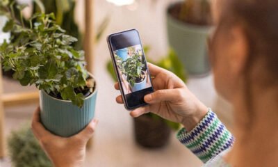 Birth a gardening hobby with this prime-rated app, on sale for President’s Day