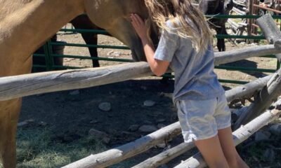 Single Tom Brady is the ‘buzz of equestrian moms’ as he tours stables