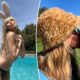 Heidi Klum goes topless, wears bunny ears to comprise fun Easter