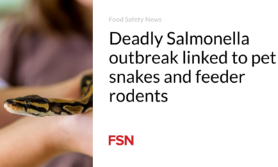 Deadly Salmonella outbreak linked to pet snakes and feeder rodents