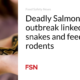 Deadly Salmonella outbreak linked to pet snakes and feeder rodents