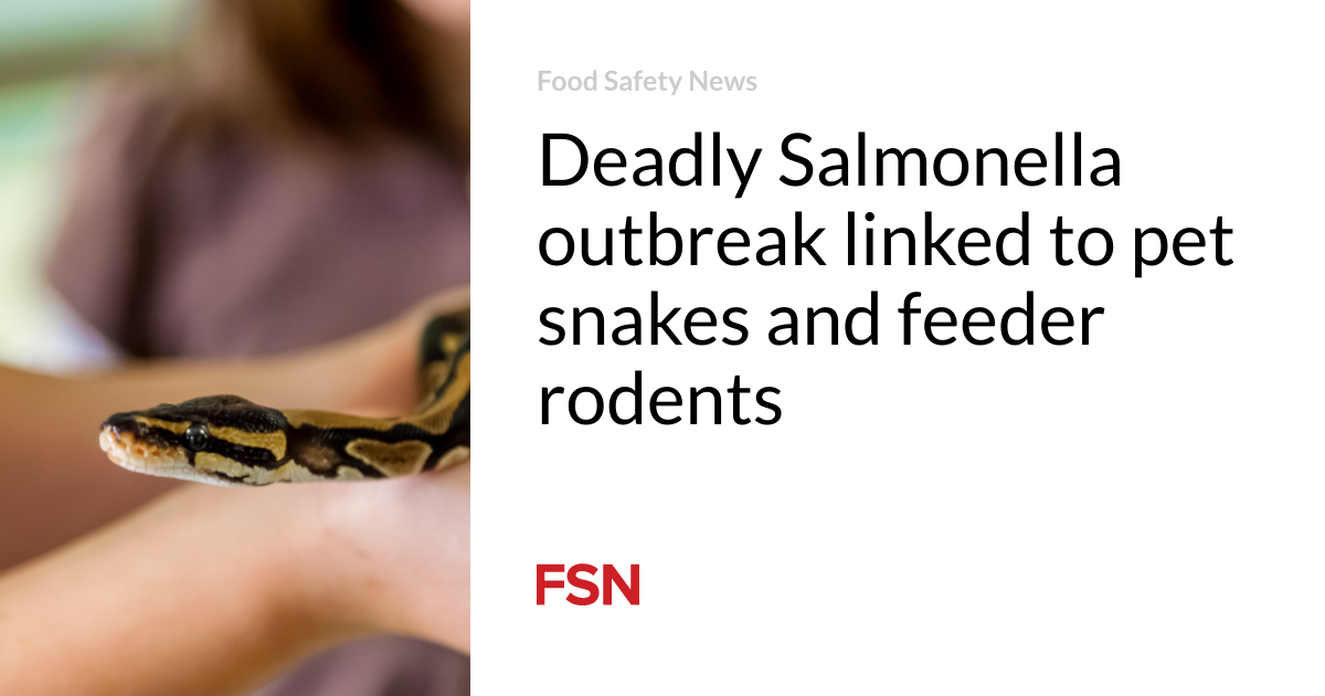Deadly Salmonella outbreak linked to pet snakes and feeder rodents