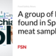 A community of E. coli realized in Spanish meat samples