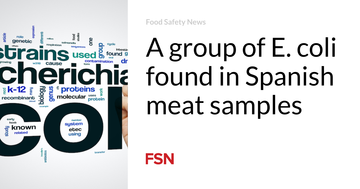 A community of E. coli realized in Spanish meat samples